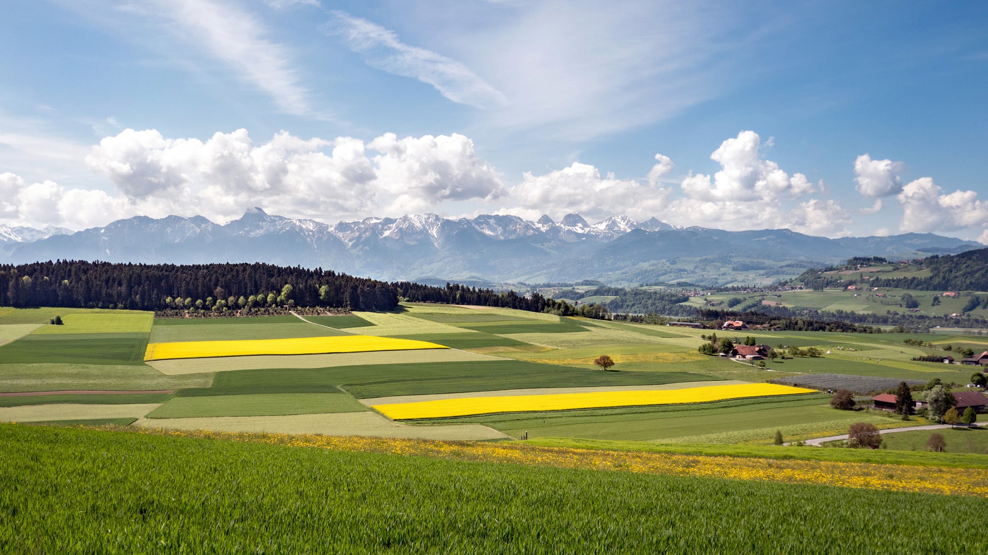 Webdesign Münsingen